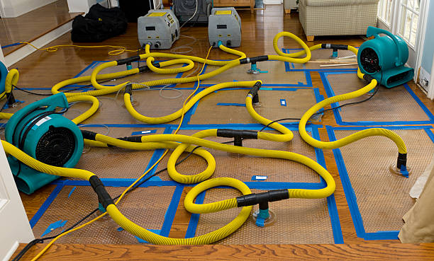 Professional Water Damage Restoration technician working in Conway, FL